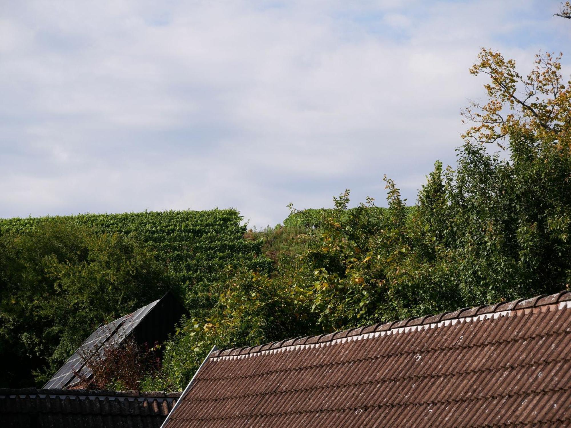 Haus Der Malerin Andrea Gawaz Apartment Mullheim  Exterior foto